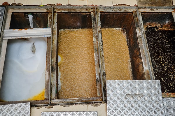 regular grease trap maintenance is essential for preventing clogs, backups, and environmental contamination